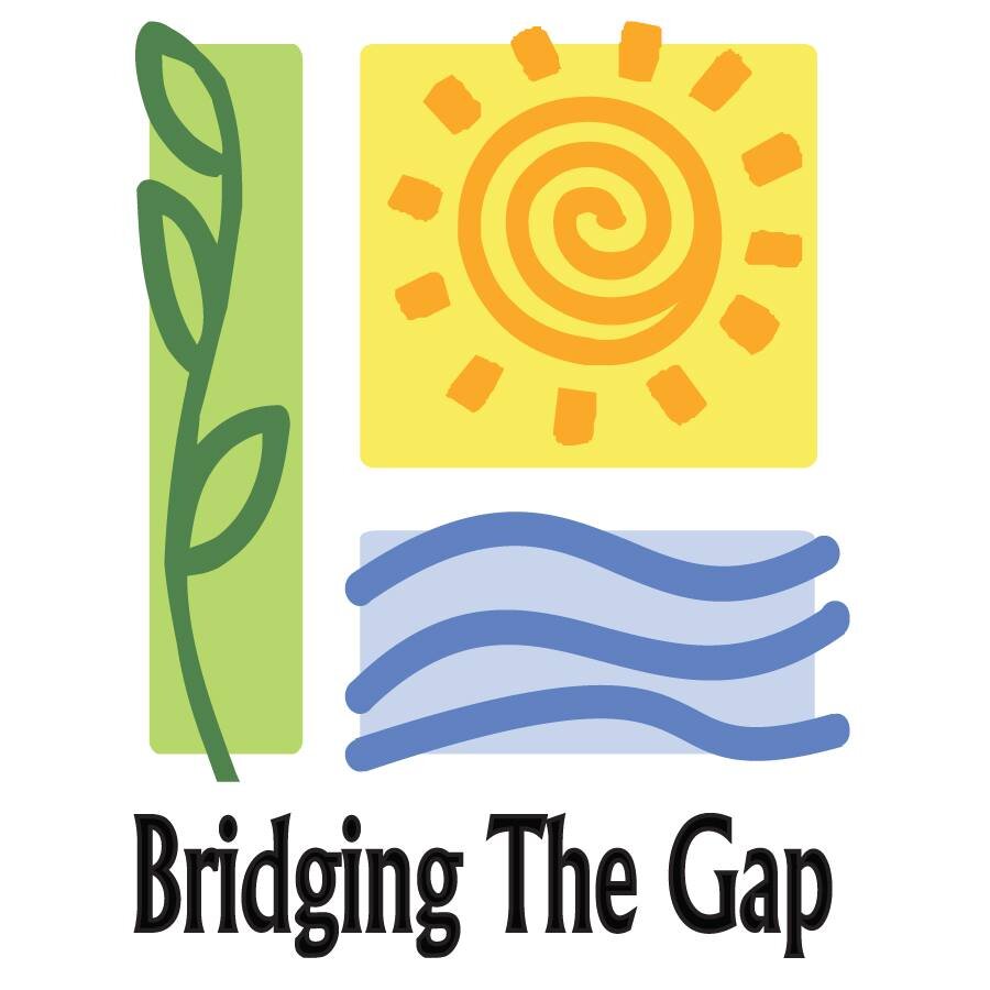 Bridging The Gap