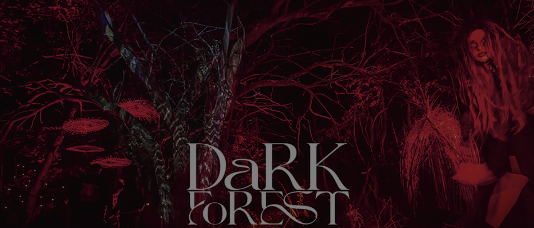 Dark Forest - Powell Gardens