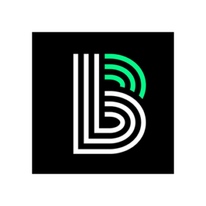 Big Brother Big Sister Logo