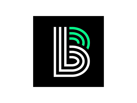 Big Brother Big Sister Logo